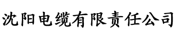 老湿第二部电缆厂logo